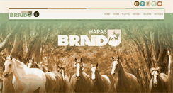 Desktop Screenshot of harasbraido.com.br